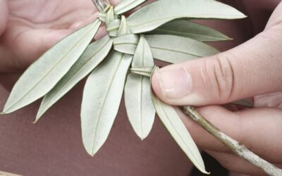 Radionica pletenja maslinove grančice za Cvjetnicu