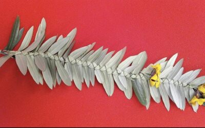 Radionica pletenja maslinove grančice za Cvjetnicu